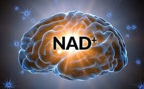 NAD IV Therapy Orlando FL